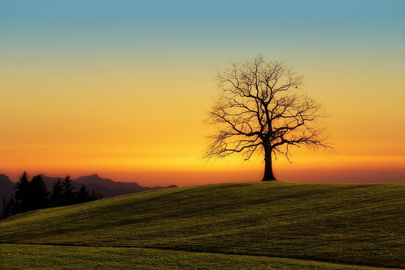 Sunset Panorama